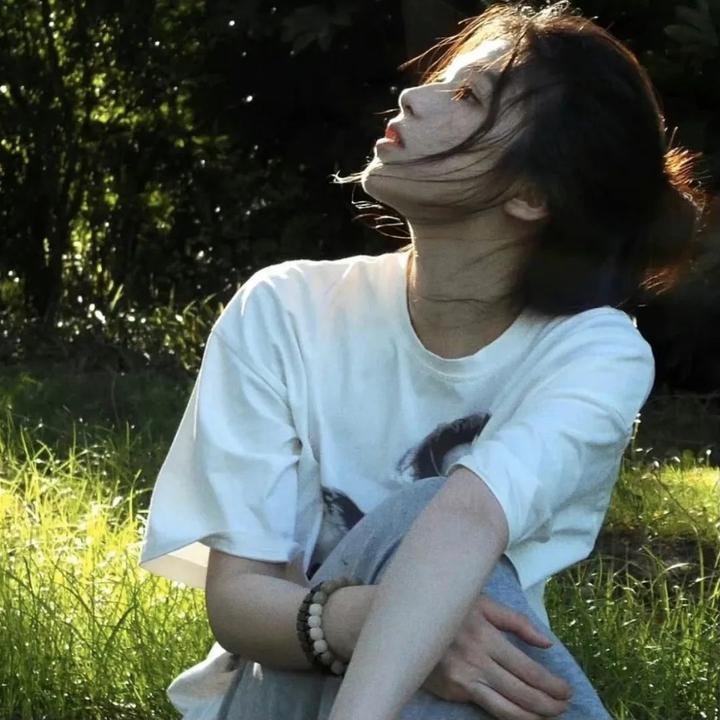企鹅之岛：福克兰