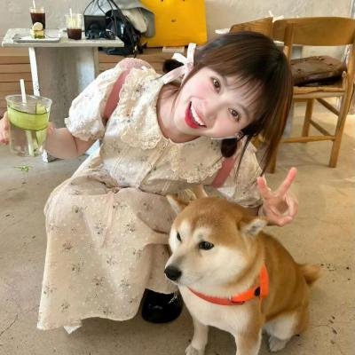 善地第三季